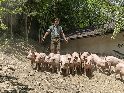 Bodenständig Bodenständig